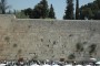 The Wailing Wall-small